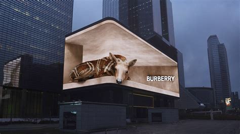 武汉、杭州上空惊现一只鹿？Burberry 3D 广告，萌化了！ 